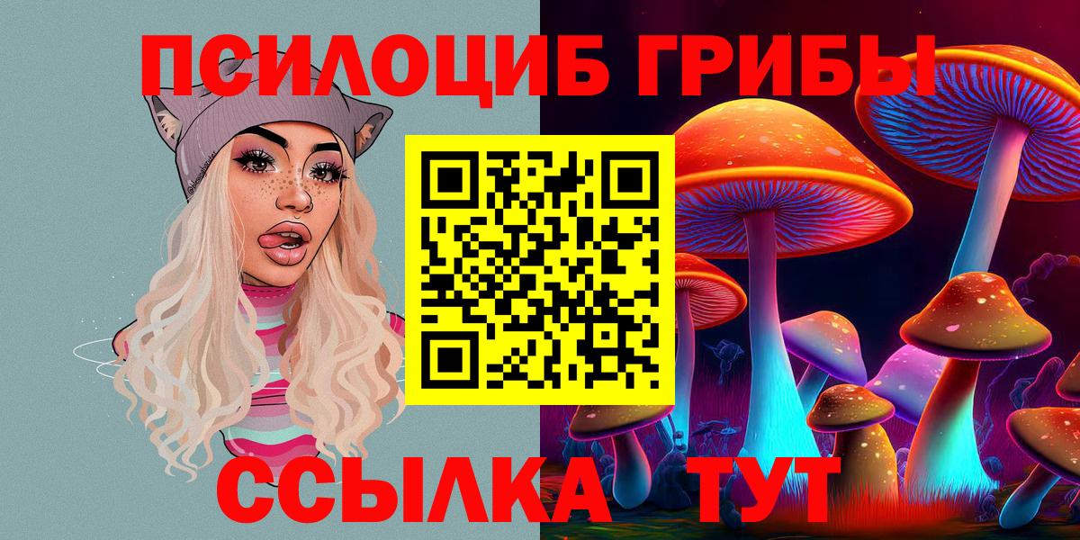 Галлюциногенные грибы Psilocybine cubensis  Вход с VPN  Щёлково 
